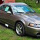Illustration for article titled Mustang Enthusiast Buys Mint-Condition 2003 Ford Mustang Cobra 'Terminator' With Only 534 Miles
